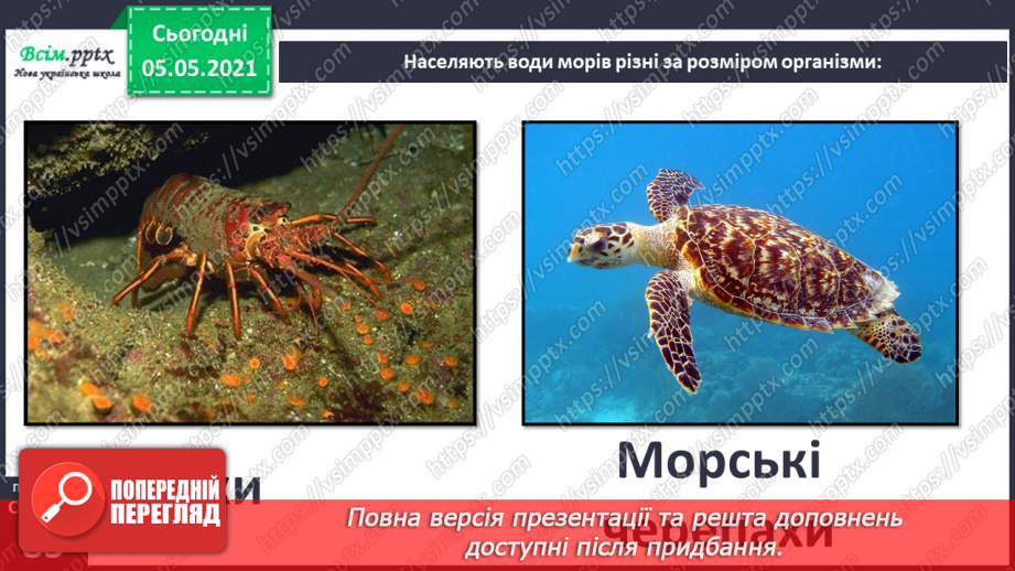 №053-54 - Природне угруповання—море. Подорож- спостереження «Природне угруповання нашої місцевості»8 №053-54 - Природне угруповання—море. Подорож- спостереження «Природне угруповання нашої місцевості»8