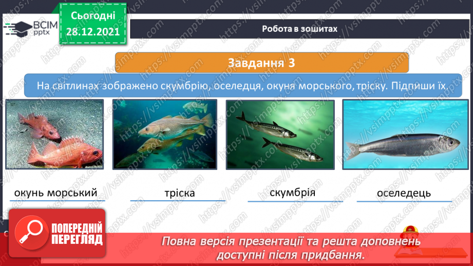 №051 - Чим цікавий Атлантичний океан.20 №051 - Чим цікавий Атлантичний океан.20