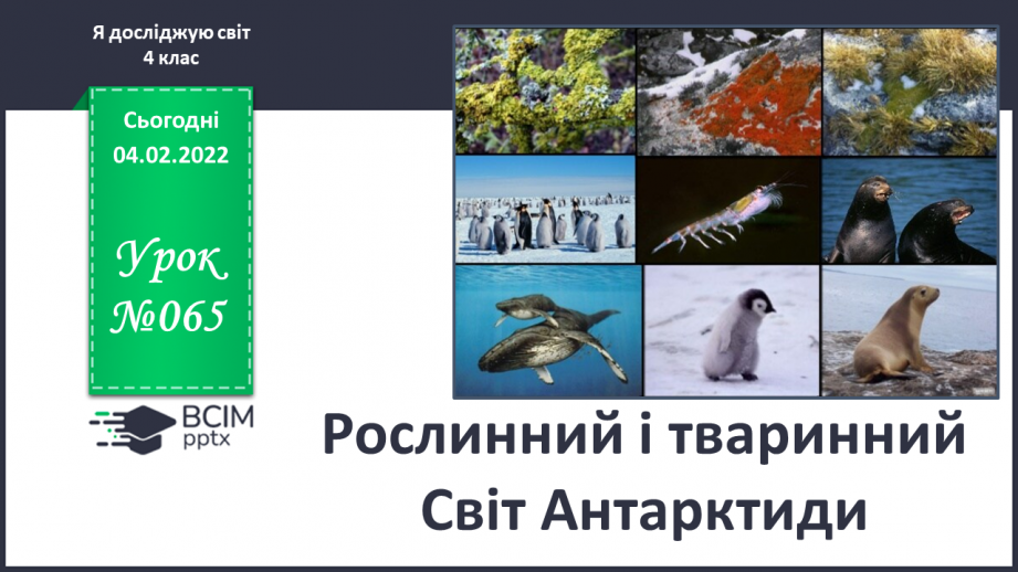 №065-68 - Рослинний і тваринний  Світ Антарктиди0 №065-68 - Рослинний і тваринний  Світ Антарктиди0