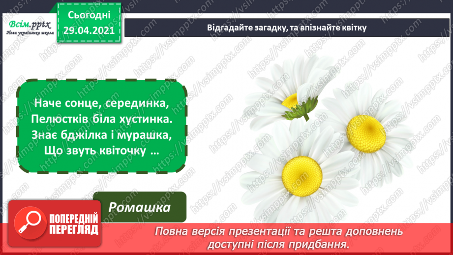 №03 - Квіткова краса. Декоративне мистецтво. Зображення букета квітів (акварель або гуаш)7