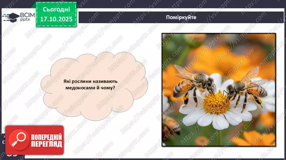 №025 - Покритонасінні рослини: пристосування до життя на суходолі, суцвіття, запилення й запліднення.25 №025 - Покритонасінні рослини: пристосування до життя на суходолі, суцвіття, запилення й запліднення.25