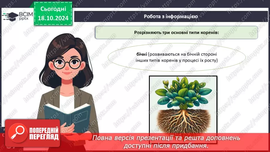 №25 - Вегетативні органи вищих рослин.7 №25 - Вегетативні органи вищих рослин.7