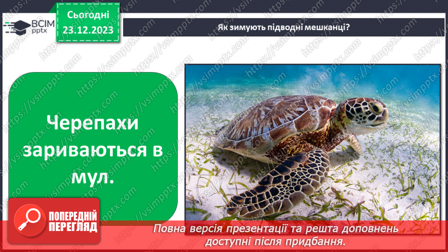 №049 - Зміни в природі взимку. Як зимують тварини?19 №049 - Зміни в природі взимку. Як зимують тварини?19