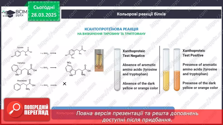 №29-30 - Білки.13 №29-30 - Білки.13