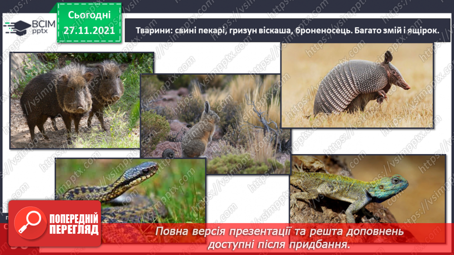 №042 - Материки Землі. Особливості природи материків34 №042 - Материки Землі. Особливості природи материків34