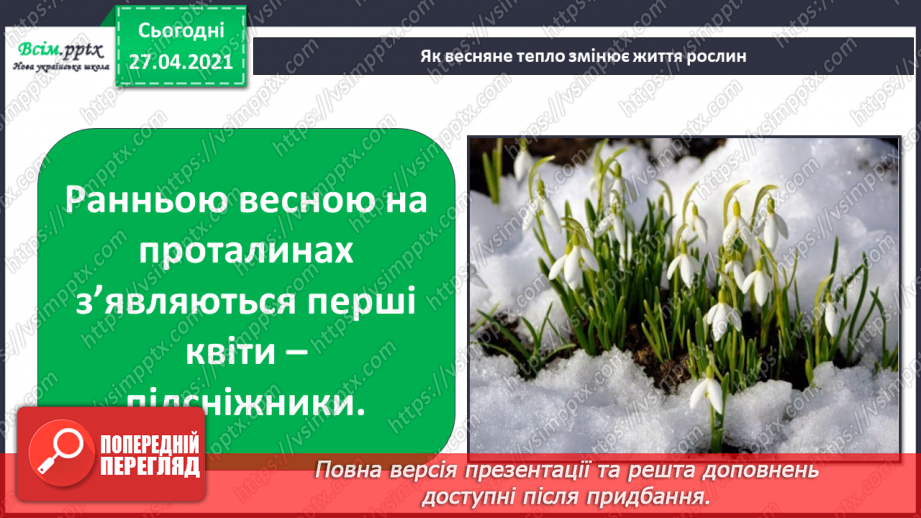 №075 - Як почуваються рослини навесні?4 №075 - Як почуваються рослини навесні?4