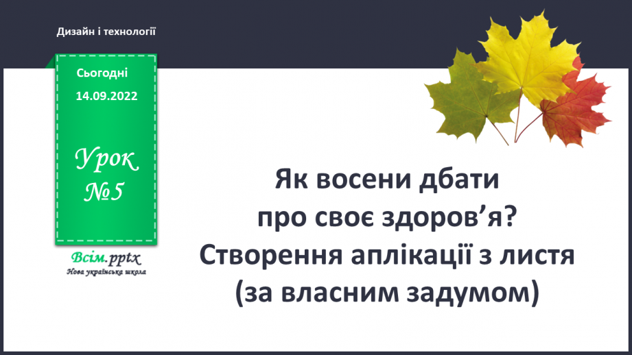 №005 - Як восени дбати про своє здоров'я? Створення аплікації з листя (за власним задумом)0