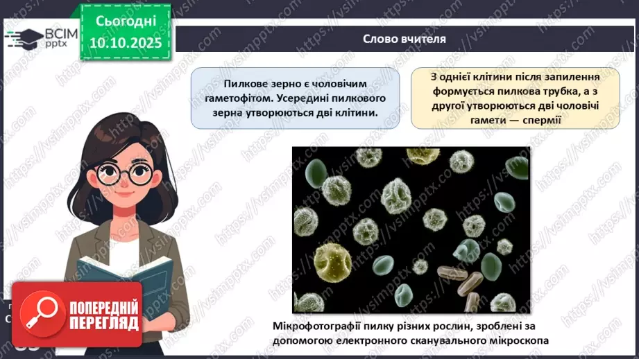 №024 - Покритонасінні рослини: квітка та плід. Значення в екосистемах.17 №024 - Покритонасінні рослини: квітка та плід. Значення в екосистемах.17