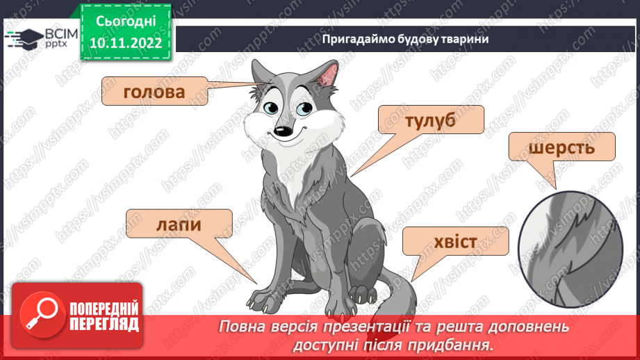 №037 - Як класифікують тварин. Властивості ссавців і птахів.14 №037 - Як класифікують тварин. Властивості ссавців і птахів.14