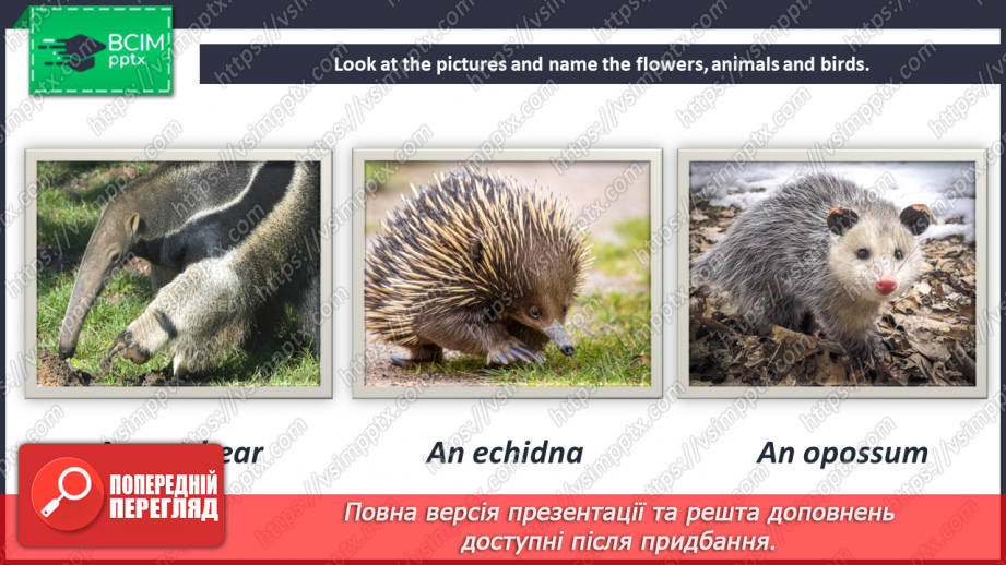 №081 - Fact File. Australia. Wildlife and Wild Flowers of Australia.17 №081 - Fact File. Australia. Wildlife and Wild Flowers of Australia.17