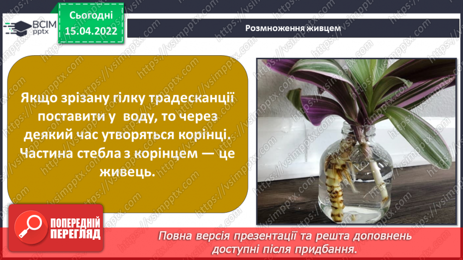 №088 - Що в мене спільного з моїми родичами? Комікс: «Чому потрібно добре готуватися до подорожі?»16 №088 - Що в мене спільного з моїми родичами? Комікс: «Чому потрібно добре готуватися до подорожі?»16