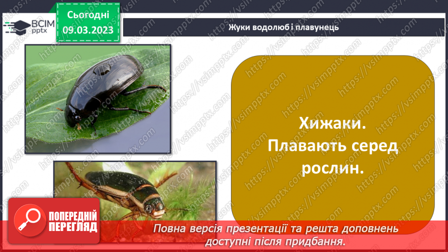 №080 - Ставок і ліс як екосистеми.15