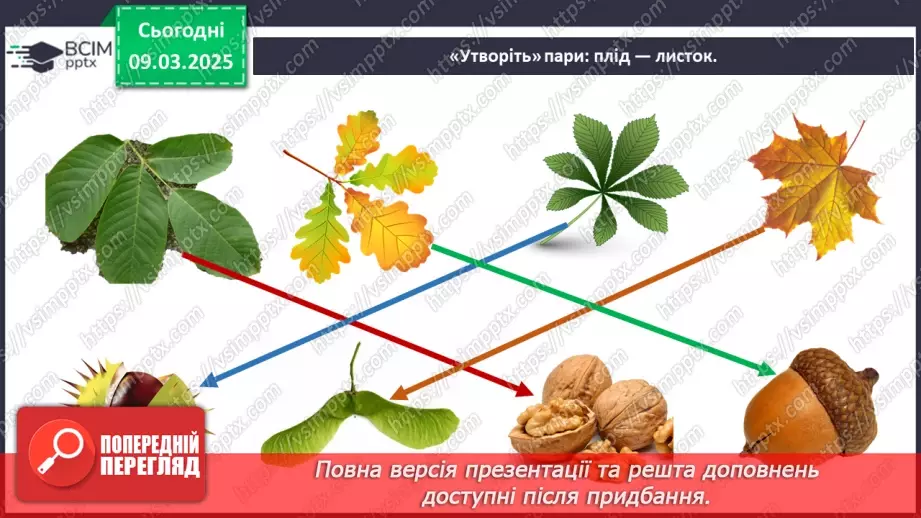 №076 - Як росте і розвивається рослина з насінини. ст.67-694