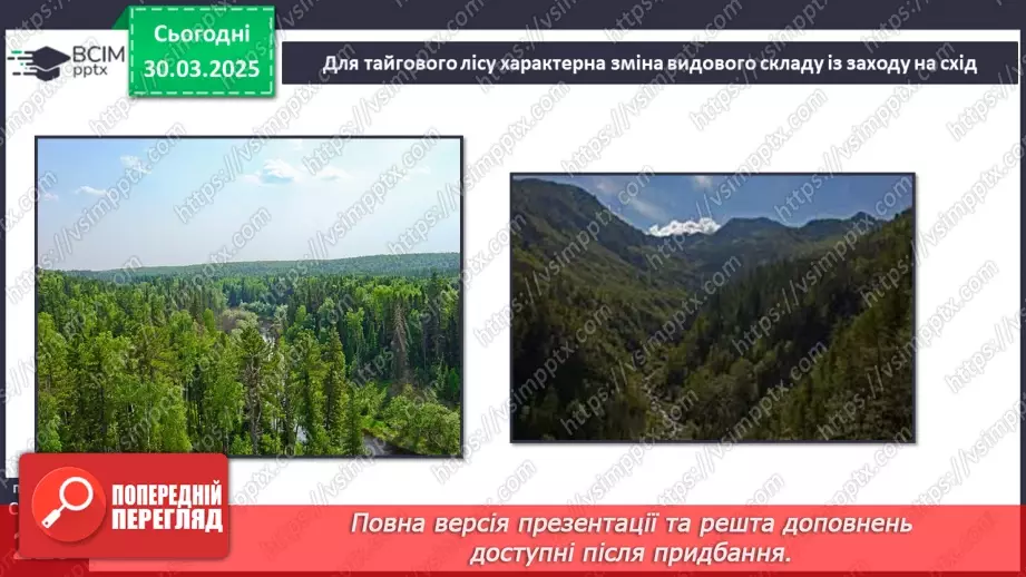 №58 - Природні зони Євразії. Тайга. Широколисті ліси. Субтропічні ліси й чагарники.5