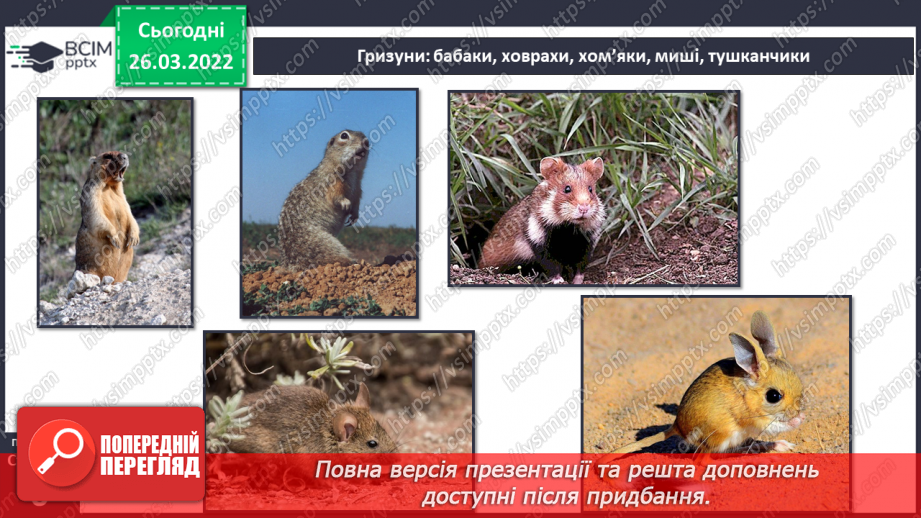 №080 - Лісостеп. Степ12 №080 - Лісостеп. Степ12