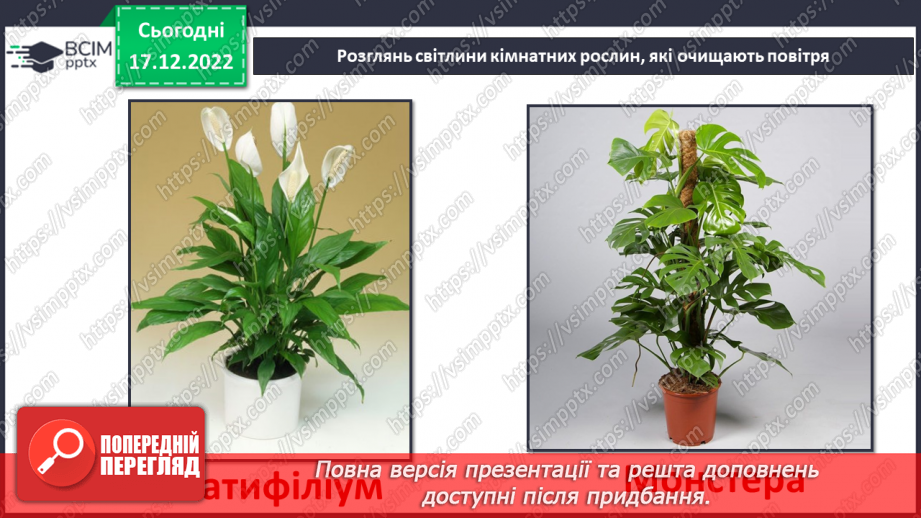 №35 - Ґрунтове повітря та його склад. Чому повітря потребує охорони. Небезпечні природні явища.27