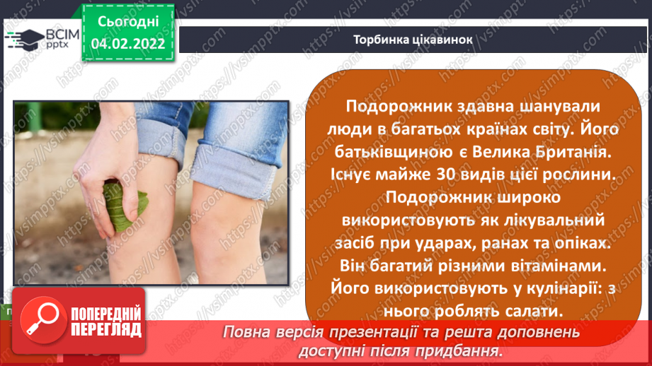 №064-65 - У чому сила подорожника? Комікс: «Що таке справедливість?»11
