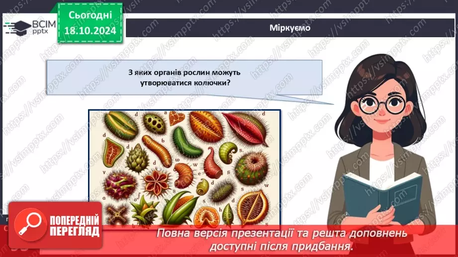 №26 - Видозміни вегетативних органів рослин.16 №26 - Видозміни вегетативних органів рослин.16