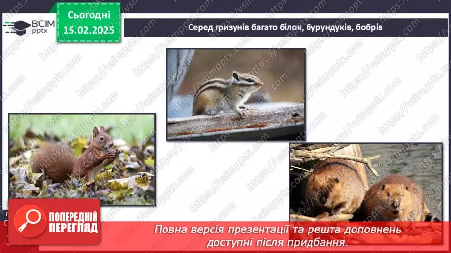 №46 - Природні зони Північної Америки. Арктичні пустелі. Тундра. Ліси помірного поясу.16