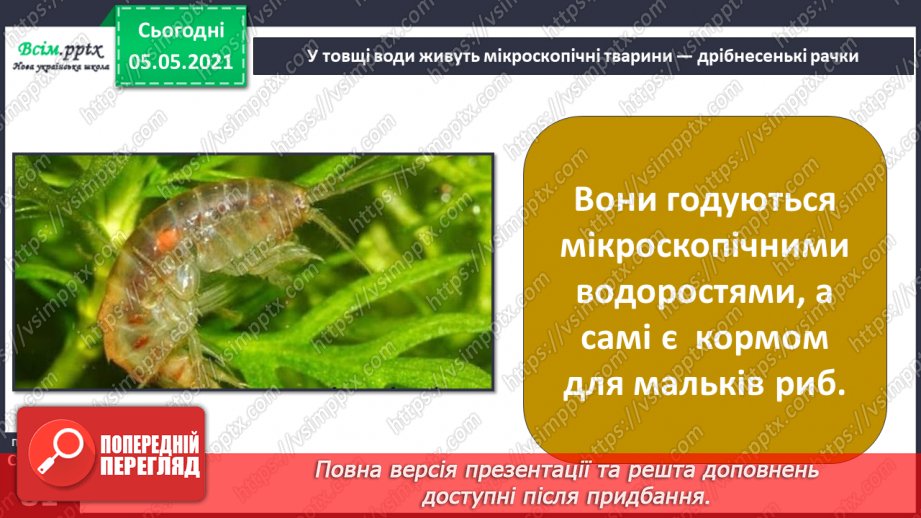 №052 - Природне угруповання — прісна водойма.18