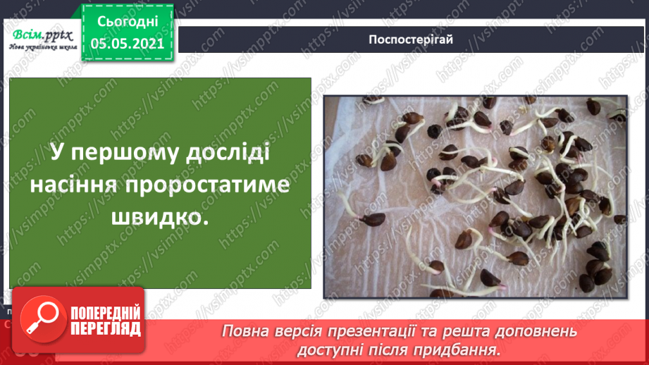 №035 - Сторінка дослідників. Як виростити нову рослину. Умови проростання насіння13 №035 - Сторінка дослідників. Як виростити нову рослину. Умови проростання насіння13