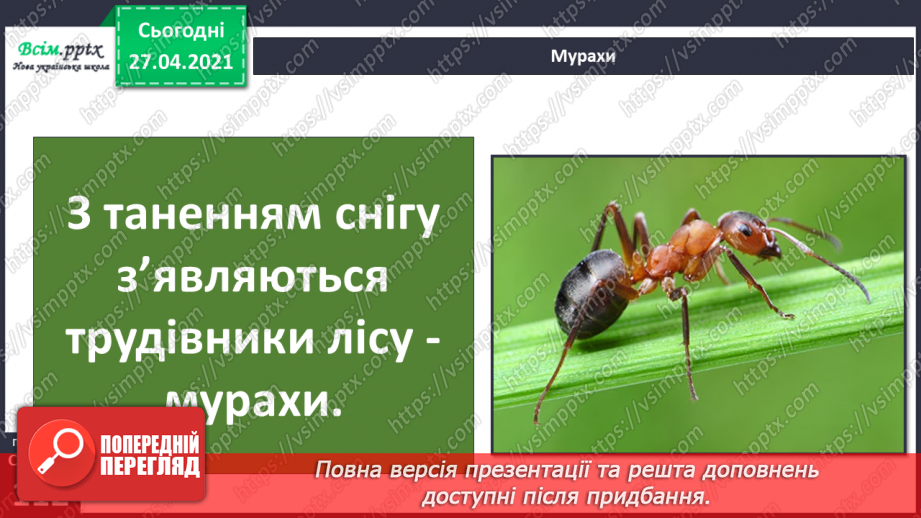 №085 - Які комахи з’являються навесні першими?14 №085 - Які комахи з’являються навесні першими?14