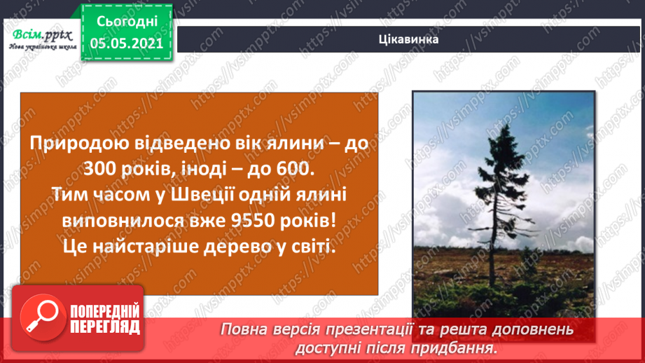 №035 - Хвойні рослини.22 №035 - Хвойні рослини.22