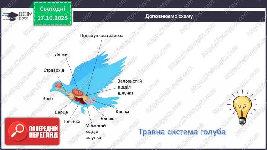 №027 - Узагальнення вивченого з теми: «Живлення як властивість живого. Будова й функції травної системи людини».19 №027 - Узагальнення вивченого з теми: «Живлення як властивість живого. Будова й функції травної системи людини».19