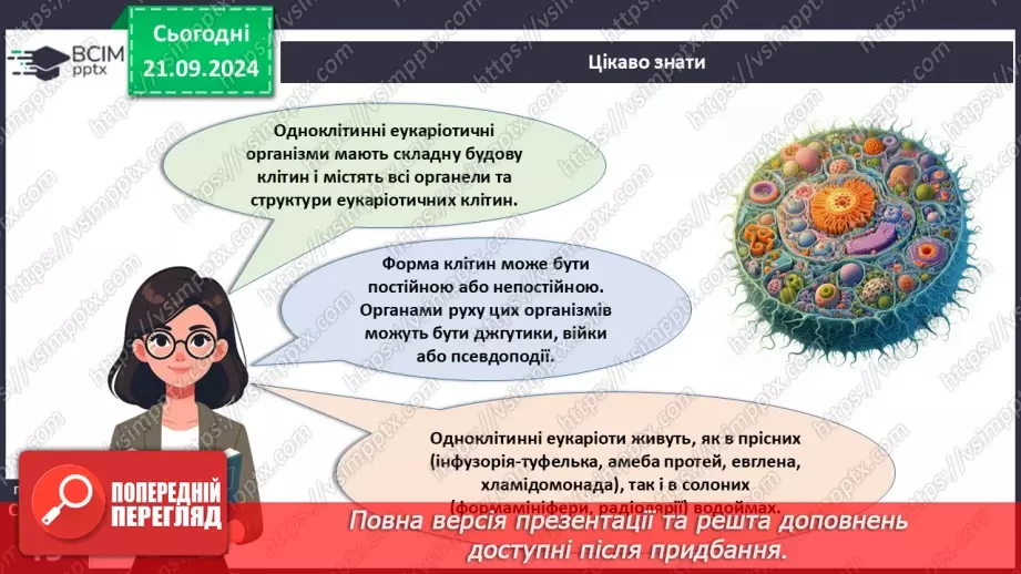 №13 - Особливості будови одноклітинних еукаріотів.15 №13 - Особливості будови одноклітинних еукаріотів.15