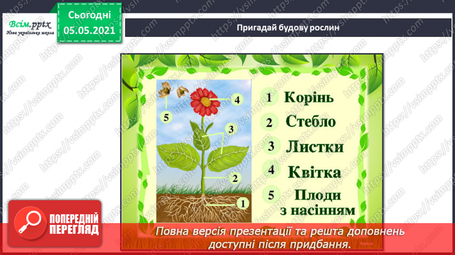 №033 - Розмноження квіткових рослин5