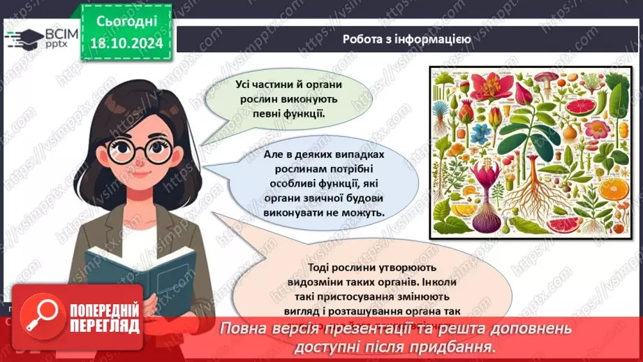№26 - Видозміни вегетативних органів рослин.6 №26 - Видозміни вегетативних органів рослин.6