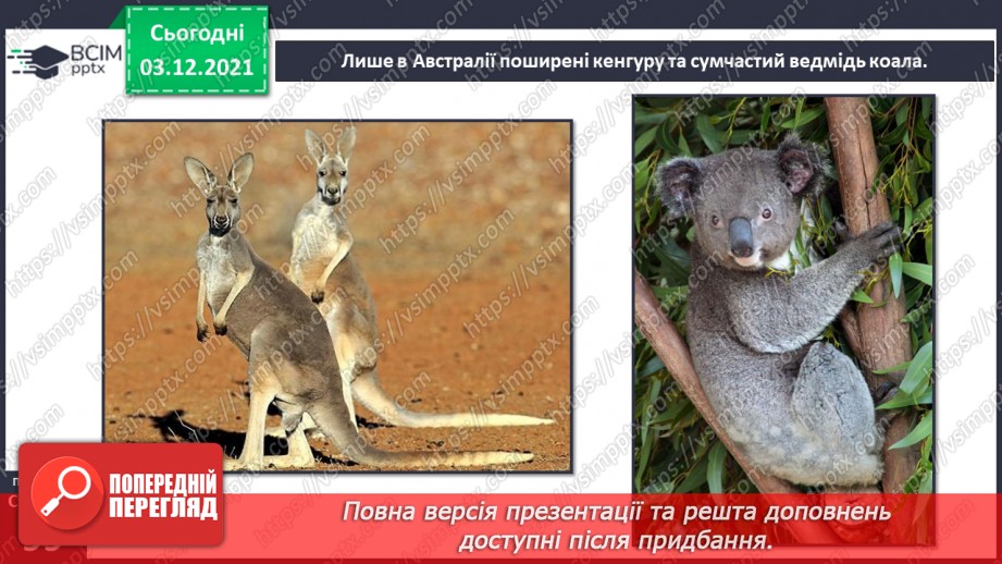 №043 - Материки Землі. Особливості природи материків14 №043 - Материки Землі. Особливості природи материків14