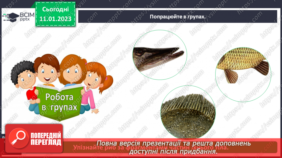 №0056 - Риби7 №0056 - Риби7