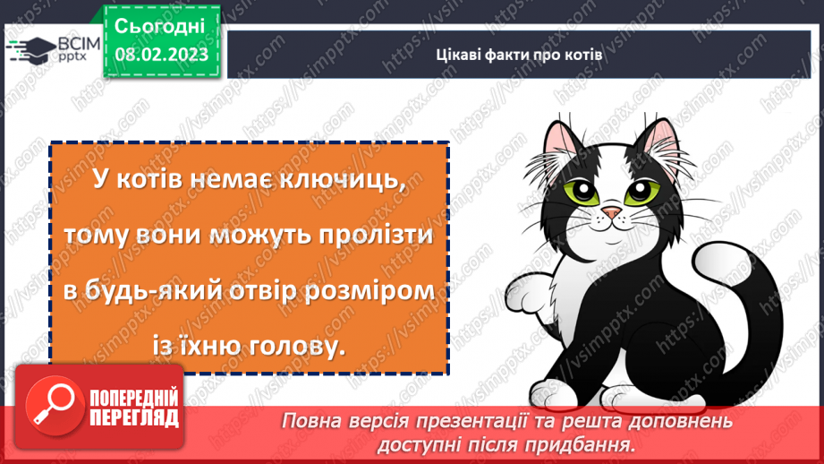 №084 - Урок розвитку зв’язного мовлення 10. Складання сенкану «Котики»21