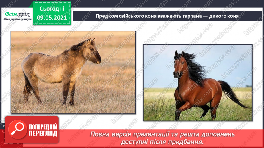 №070 - Як дикі тварини стали свійськими?14