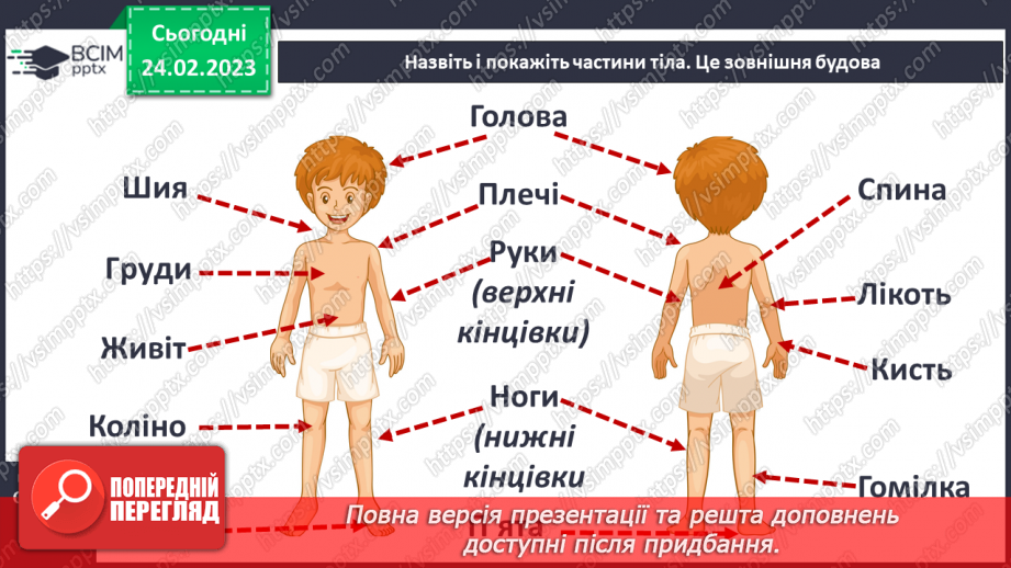 №50 - Із чого складається організм людини. Клітини, внутрішні органи та шкіра.3