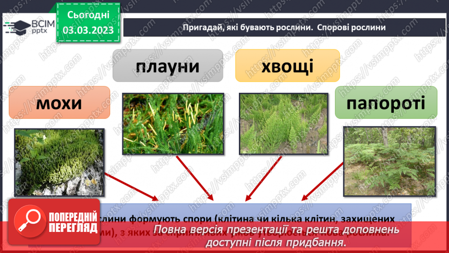 №51 - Узагальнення розділу «Клітини, бактерії, віруси, гриби, рослини і тварини».16