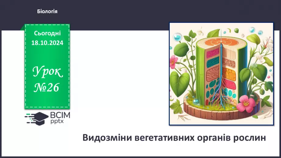 №26 - Видозміни вегетативних органів рослин.0 №26 - Видозміни вегетативних органів рослин.0
