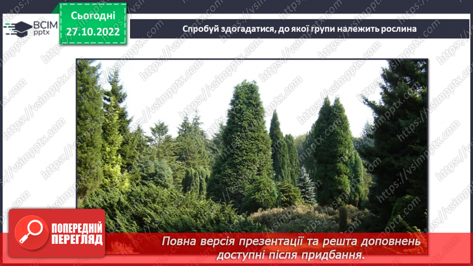 №031 - Класифікація рослин.15 №031 - Класифікація рослин.15