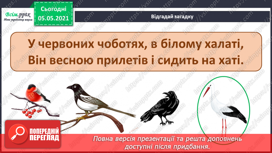 №045 - Різноманітність тварин у природі. Птахи23