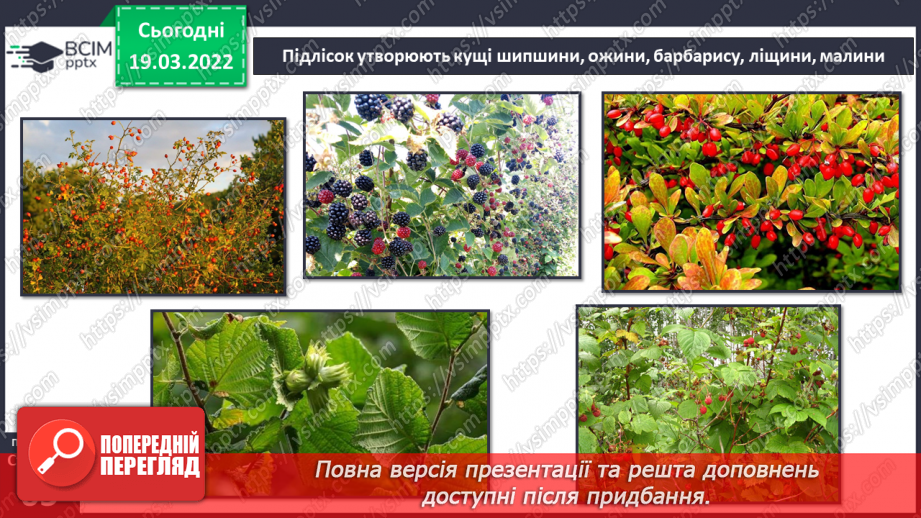 №078 - Природні зони України. Мішані та широколисті ліси.6 №078 - Природні зони України. Мішані та широколисті ліси.6