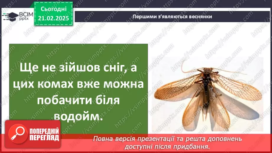 №0072 - Які комахи з’являються першими навесні9