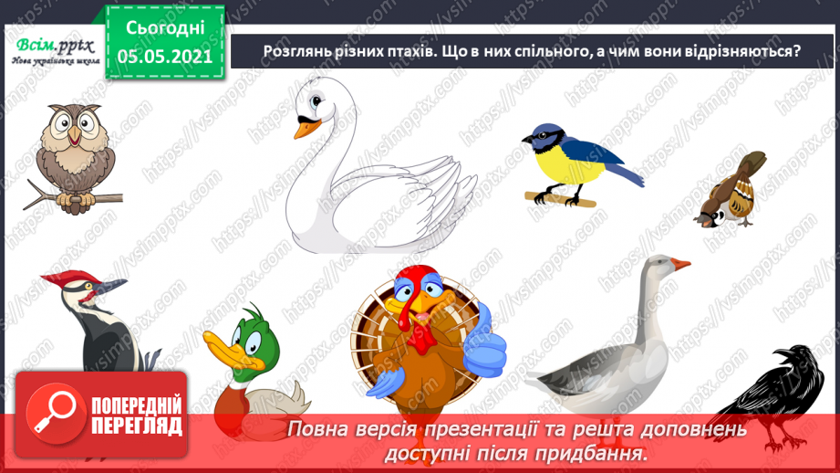 №045 - Різноманітність тварин у природі. Птахи4