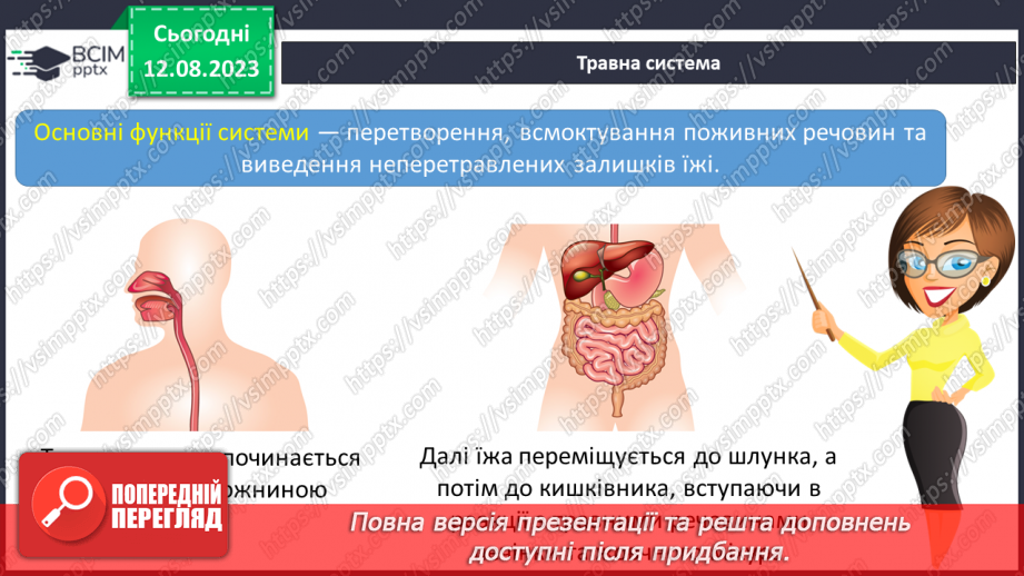 №13 - Людина як організована форма життя. Поняття про основні системи людини та їх значення.15