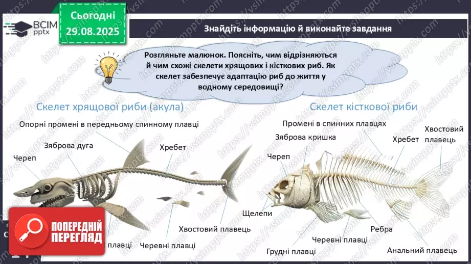 №004 - Рух як властивість живого. Еволюція опорно-рухового апарату хордових тварин.19 №004 - Рух як властивість живого. Еволюція опорно-рухового апарату хордових тварин.19