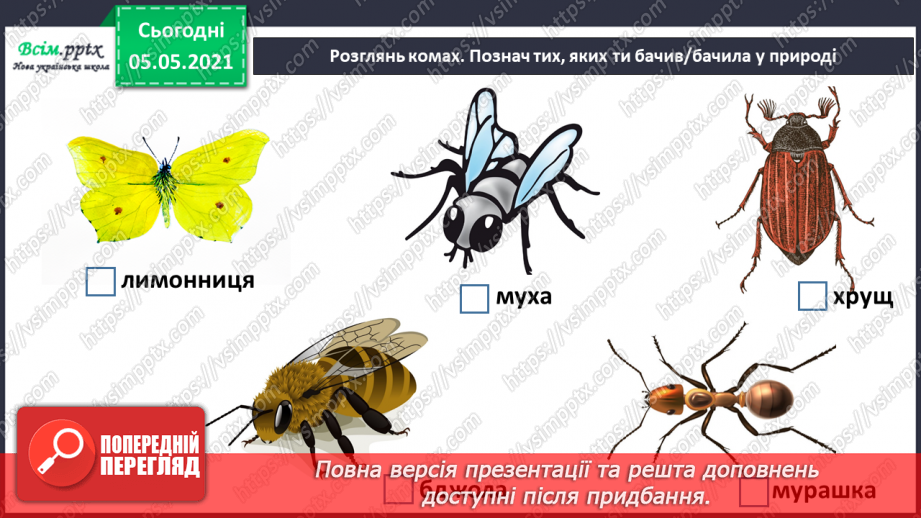 №041 - Різноманітність тварин у природі. Комахи17 №041 - Різноманітність тварин у природі. Комахи17