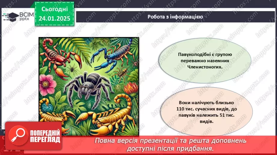 №55 - Павукоподібні.7 №55 - Павукоподібні.7
