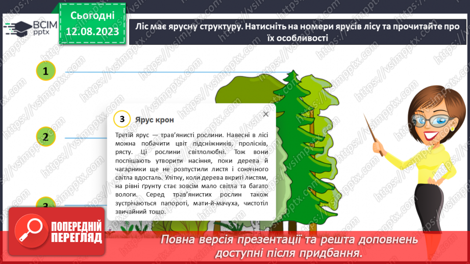 №38 - Ліс як екосистема. Структура лісу.15 №38 - Ліс як екосистема. Структура лісу.15