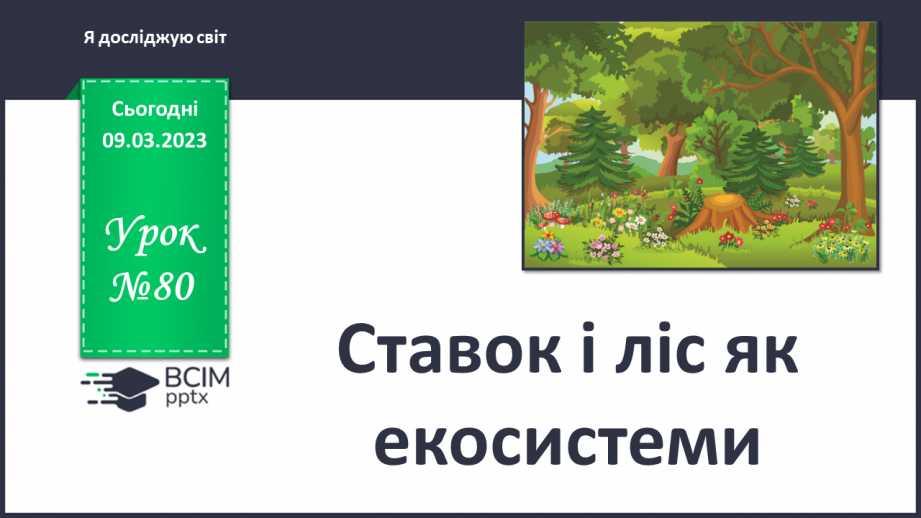 №080 - Ставок і ліс як екосистеми.0