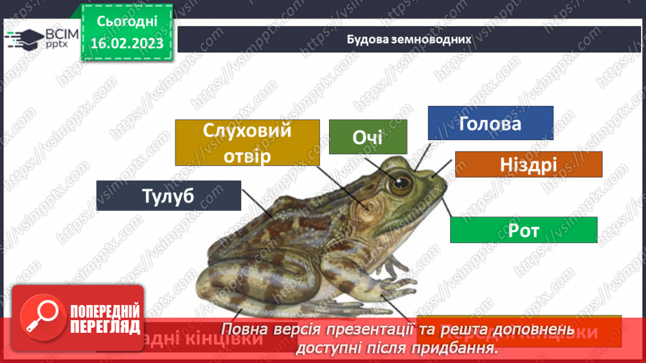 №48 - Хребетні тварини. Будова та спосіб життя хребетних тварин. Практична робота.11